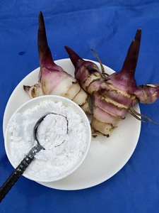 Poudre d'amidon d'arrowroot biologique de qualité supérieure, goût naturel, pour aliments et ingrédients, emballée en sachet, provenant du Vietnam - Product Image 5