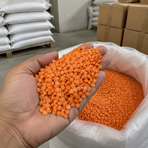 Suministro de Alimentos Orgánicos Premium: Lentejas Orgánicas Secas 100% Desgranadas para Importadores Mayoristas con Sabor Natural y Empaques Limpios - Product Image 1