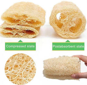 Éponge exfoliante en loofah bio 10-12cm, emballage personnalisé, provenant d'un fournisseur de loofah naturel du Vietnam. - Product Image 1