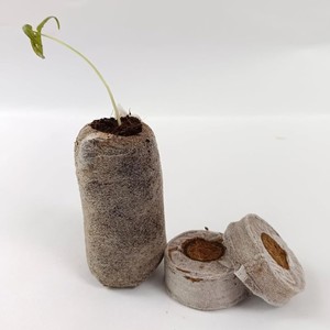 Proveedor mayorista de pellets de fibra de coco para inicio de cultivo, suministra discos de cocopeat comprimidos. - Product Image 2