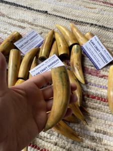 Cuerno de Búfalo Natural Ecológico, Pulido, con Punta Quemada, Rústico, para el Año Nuevo Chino, de Alta Calidad - Product Image 2