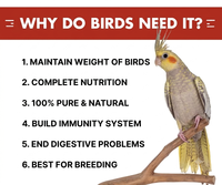 Mélange de graines pour oiseaux bio premium pour perroquets, calopsittes, perruches, agapornis, pinsons, canaris - Soutien naturel à la santé digestive