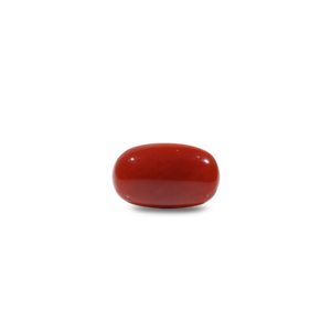 Natural Red Coral Oval Cabochon Loose Gemstone 8 Carat Certified Wholesale - Product Image 1