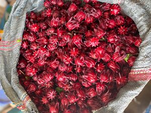 โรเซลแห้งคุณภาพสูง (Hibiscus sabdariffa): ส่วนผสมชาสมุนไพรต้นกำเนิดจากเวียดนาม/คุณลิมา - Product Image 2