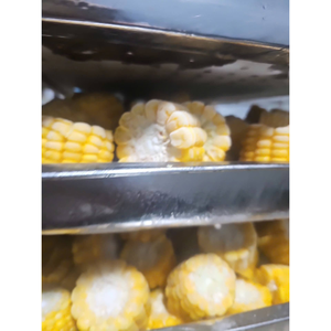 Batata Congelada IQF de Primera Calidad, Grado Alimenticio, Proveedor Mayorista de Vietnam, Envasada al Vacío, 24 Meses de Vida Útil - Product Image 2