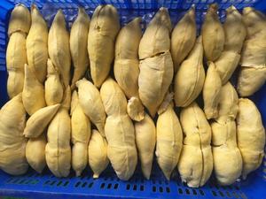 Durian Congelado de Primera Calidad para Exportación desde Vietnam - Product Image 4