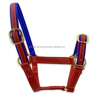 Diseño personalizado Racing Horse Halter Atractivo cuero negro genuino con PVC ligero Inglés Saddle Style Halter Horse - Product Image 6