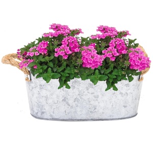 Jardinière en métal galvanisé de style vintage pour jardin, patio, balcon, jardinière décorative avec poignée en corde - Product Image 1