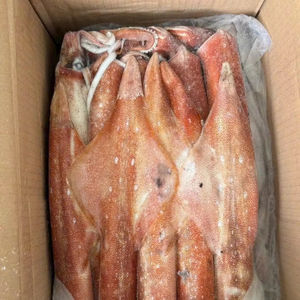 Calamar IQF de calidad de exportación, tubos de calamar IQF tamaño 16/20 piezas, calamar congelado para restaurante Vietnam ANGLE - Product Image 1