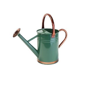 Arrosoir en métal au design élégant, couleur noir antique, arrosoir facile à remplir, idéal pour la maison et le jardin - Product Image 6