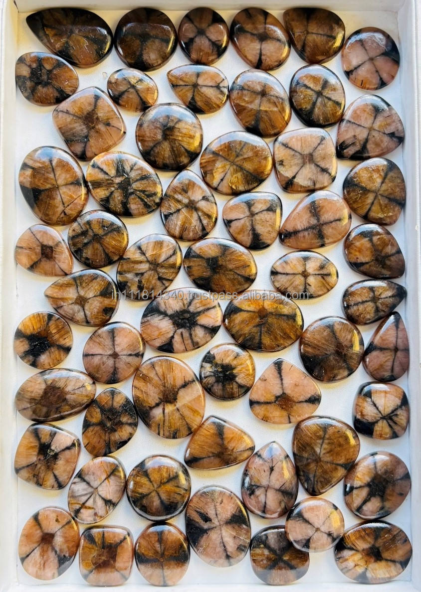 เหมือนกับภาพ