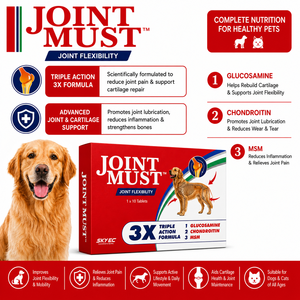 Best Quality Joint Must Pet Joint Supplement Tablets Essential Nutrients for Dogs Cats Joint Health Mobility Support Sale - Product Image 2