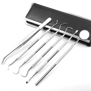 Kit de Herramientas Dentales de Acero Inoxidable, Espejo Bucal, Sonda, Pinzas, Set para Examen Oral, Limpieza Dental - Product Image 2