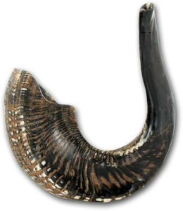 Shofar Kosher Hecho a Mano de Cuerno de Carnero, Pulido, de Todos los Tamaños, Precio de Fábrica, Hecho en Cuerno de Kudu, Shofar Natural de Carnero, Trompeta Hebrea, Cuerno para Tocar - Product Image 5