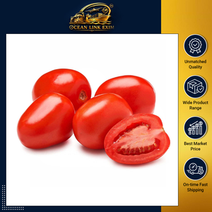 Fresh Red Tomato Firm and Juicy 100% Natural Export Quality Vegetable for Wholesale Distribution and Food Processing - Product Image 6