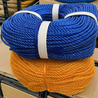 Corde de pêche multicolore en nylon et HDPE de 4 mm, 5 mm, 6 mm, économique, bobines de 100-200 m, haute résistance, anti-UV, résistante à l'abrasion