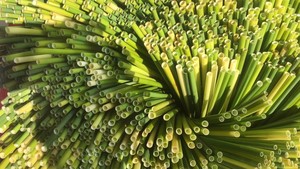 Eco-friendly <b>Biodegradable</b> Disposable Grass Straw Natural Lepironia Articulata Straws Sustainable Treated 20cm Drinking Straws - Product Image 3