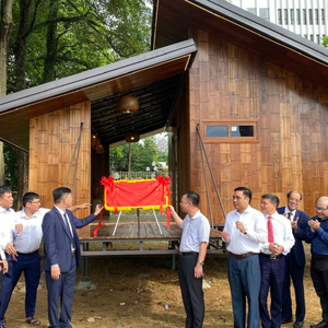 Proveedor de Postes de Bambú de Vietnam, Invernadero Prefabricado Moderno de 80 m² con 5 Años de Garantía, Edificio Prefabricado Modular Industrial para Exteriores de 40HC - Product Image 6