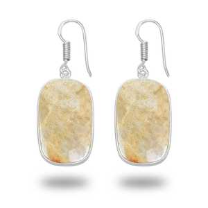 Pendientes de Coral Fósil Natural Amarillo de Alta Calidad, Precio al por Mayor, Directo del Proveedor, Joyería de Primera Calidad a Bajo Precio - Product Image 2