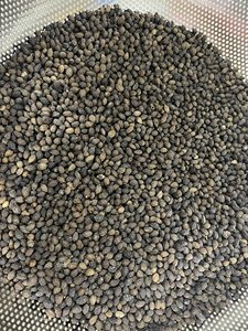เมล็ดมะละกอแห้งธรรมชาติผลิตภัณฑ์เมล็ดพันธุ์เขตร้อนที่คัดสรรอย่างพิถีพิถัน - Product Image 3