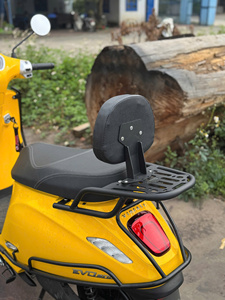 Porte-bagages arrière M-Biker VinFast Evo 200 avec dossier passager, accessoires pour moto - Product Image 3