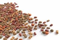 Friandises pour chiens de qualité d'exportation Nutrition végétale durable Riche en protéines Sans céréales Toutes races Tous âges Marque privée OEM ODM