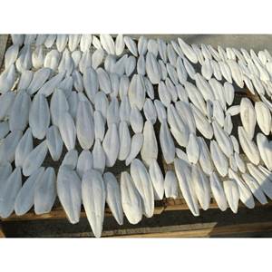 Natural Dried <b>Cuttlefish</b> Bone High Calcium Seafood Supplement Feed Additive Bulk Pack 99 Gold Data Vietnam Origin 24 Months - Product Image 5