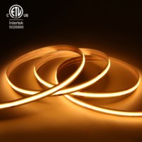 Pabrik OEM ODM AC110V COB LED Strip IP67 480LEDs Dapat Dipotong Lebar 10mm Perekat Sendiri Lampu Pita LED COB yang Dapat Dipotong CE/ROHS