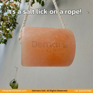 Sal de Lengüeta Comprimida de Alta Calidad OEM para Animales, Alimento de Sal para Ganado, Caballos, Vacas, Ovejas, Cabras, para la Digestión de Perros - Disponible para la Venta - Product Image 1