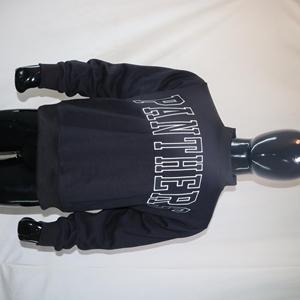 Sudadera PANTHERS con cuello simulado, 450 GSM, nombre personalizado, bordado en aplique, corte holgado, 100% algodón, felpa francesa. - Product Image 2