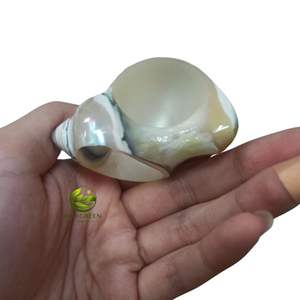 Elegante Porta Servilletas de Concha para Boda, Anillos de Concha de Perla Iridiscente, Decoración de Mesa para Fiestas con Temática Costera, Venta al por Mayor - Product Image 1