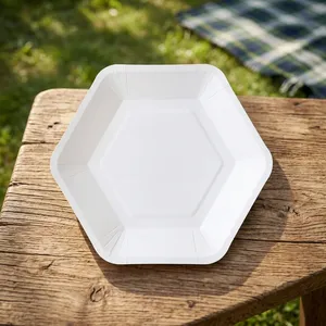 Assiette jetable hexagonale de 6 pouces en pulpe de bagasse moulée, qualité export, biodégradable, écologique, de qualité alimentaire, résistante à l'eau pour - Product Image 5