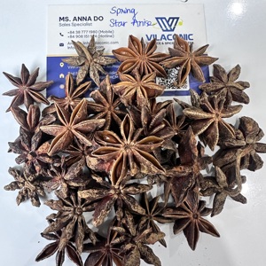 Anís estrellado entero seco, grado alimenticio, aroma natural, suministro al por mayor B2B para fábricas de condimentos, importador de té de hierbas/ ANNA DO - Product Image 4