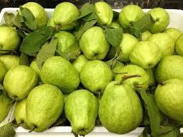 Goyave surgelée du Vietnam IQF en tranches ou en fruits entiers, prix compétitif, export en gros - Mme Beatrix - Product Image 5