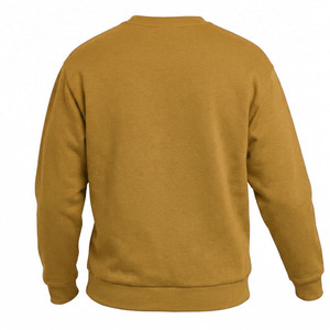Sweat-shirt d'hiver uni 100 % coton de haute qualité, coupe classique, vente chaude, prix abordable, nouvelle arrivée, sweat-shirts à capuche personnalisés pour hommes 2026 - Product Image 3