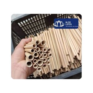 [DISPONIBLE] Ensemble de pailles réutilisables en bambou pour jus et préparation de boissons, écologiques, pour la restauration, Vietnam - Product Image 1