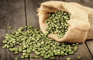 Café Vert 100% Robusta Vietnamien Dak Lak DHPONE Biologique Grade AA Couleur Naturelle Goût Neutre Sans Allergènes Sac de Jute 60kg - Product Image 4