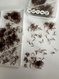 Dark Brown <b>Individual</b> Eyelash Extensions Wholesale Natural Soft Silk 0.05mm 0.07mm Private Label Custom New Arrival Design - Product Image 3