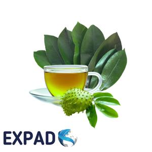 Soursop Leaves Loose Leaf Herbal <b>Tea</b> Steamed Vacuum Pack Health <b>Tea</b> for Extraction and Distribution - Product Image 5
