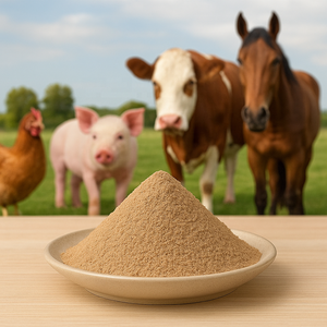 Taiwan Biotechnologie agricole Additifs alimentaires Volaille Poulet - Product Image 1