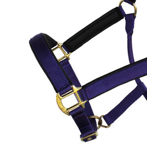 Purple Nylon Horse <b>Halter</b> with Brass Hardware Adjustable Fit Equestrian Head Collar Strong Style Made Training Riding Horse - Product Image 6
