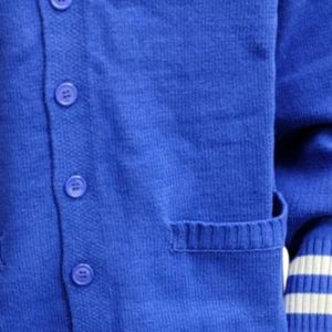 Customized High Quality Hamptoon University Varsity Embroidered Solid Long Sleeve V-neck 100% Cotton <b>Cardigan</b> Sweater HBCU Made - Product Image 4