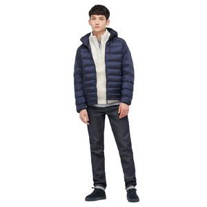 Veste matelassée à capuche avec logo personnalisé 2025, imperméable, coupe-vent, manteau d'hiver, OEM, marque privée, vente en gros pour les États-Unis - Product Image 1