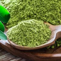 Poudre de Moringa Oleifera Premium, poudre de feuilles séchées pure, ingrédient alimentaire botanique vert riche
