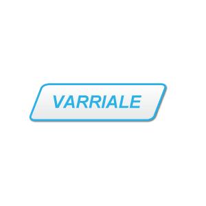 RENATO VARRIALE & C. logo