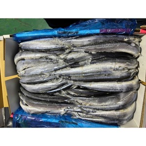 Pescado Atún del Pacífico Congelado, Cuidadosamente Seleccionado, con Empaque Personalizado y Almacenamiento Eficiente en Bodega para Pedidos de Mariscos a Granel - Product Image 5