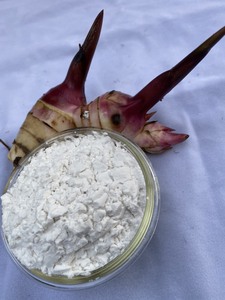 Almidón de Araroto Orgánico en Polvo, el Más Vendido, Precio Económico, Sabor Natural para Alimentos e Ingredientes, Empacado en Bolsa, Origen Vietnam - Product Image 3