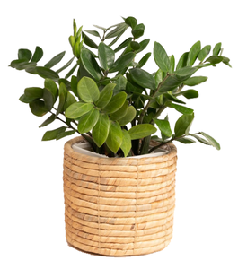 Pots de rangement au sol en jacinthe d'eau, style rétro vintage, fabriqués au Vietnam, avec poignées sculptées à la main, tissés à la main, écologiques et durables - Product Image 1