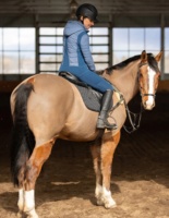 Blousons d'équitation matelassés personnalisés de haute qualité 2026 pour les compétitions, en nylon et maille imperméable, pour femmes et hommes