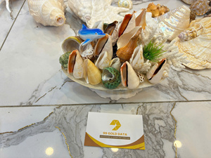 Vietnam Factory Natural Sea Shell for Aquarium Decoration Small Shell Fish Tank Decor Bulk Manufacturer Export - Product Image 6